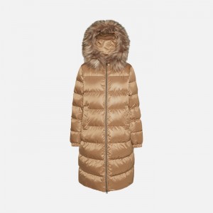 Amphora Geox Backsie | 2843-MACRB