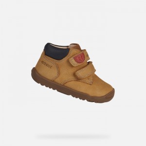 Biscuit Geox Macchia | 9561-IQFRS