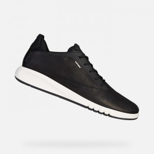 Black Geox Aerantis | 4815-FDRNK