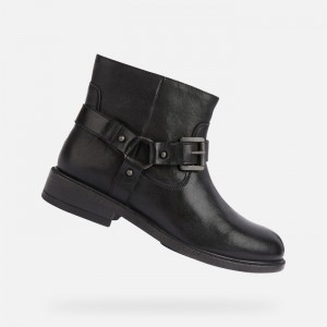 Black Geox Catria | 2537-MSZJF