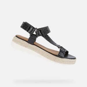 Black Geox Eolie | 7480-WSEFL