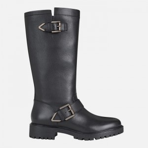 Black Geox Hoara | 4932-OFNUT