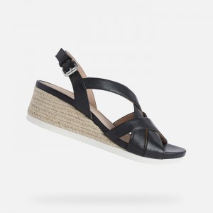 Black Geox Ischia Corda | 2537-MUPKD