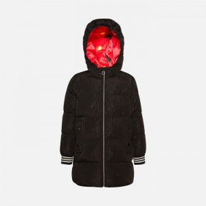 Black Geox Jaylon | 3160-NFYBO