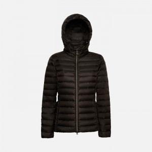 Black Geox Jaysen | 2804-BIWRG