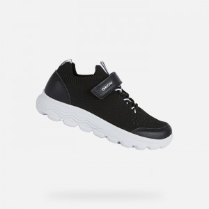 Black Geox Spherica | 6105-YJTDQ