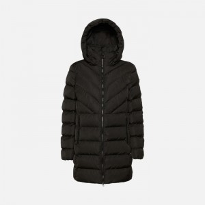 Black Geox Spherica | 7483-MQOJR