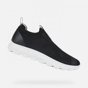Black Geox Spherica | 8034-LXMKT