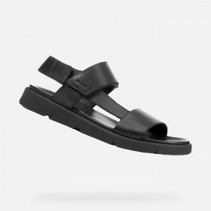 Black Geox Xand 2s | 1792-ITFSK