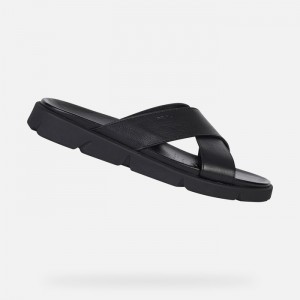 Black Geox Xand 2s | 9328-FYPXE