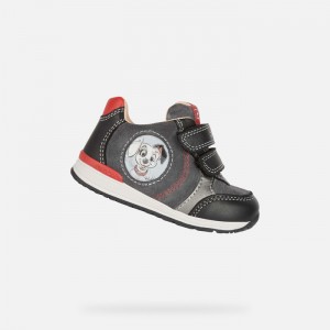 Black / Dark Grey Geox Rishon | 2547-KEQVR