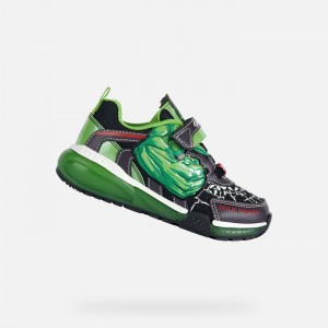 Black / Green Geox Bayonyc | 0147-IZUYN