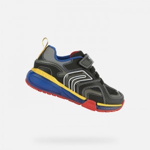 Black / Multicolor Geox Bayonyc | 4635-ZXSMT