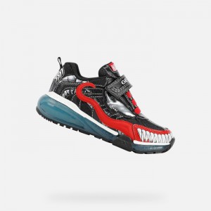 Black / Red Geox Bayonyc | 2945-CIQYR