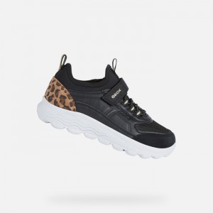 Black / Whisky Geox Spherica | 1465-PKZFQ