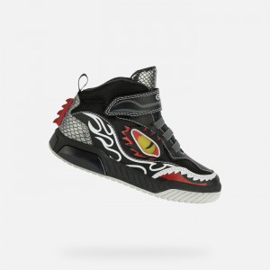 Black / White Geox Inek | 3251-WIEUV