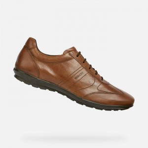 Brown Cotto Geox Symbol | 7123-LQDJU