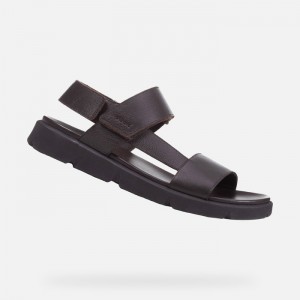 Brown Cotto Geox Xand 2s | 4506-BYFPE