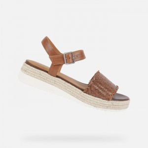 Brown Geox Eolie | 7584-PLDNY