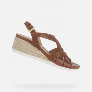 Brown Geox Ischia Corda | 4892-EFQPJ