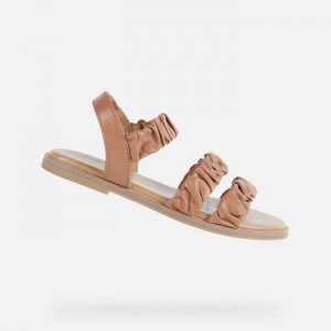 Brown Geox Naileen | 7346-CZYPB