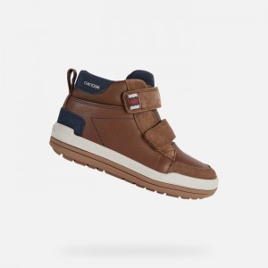 Brown / Navy Geox Charz | 0572-OEUYK