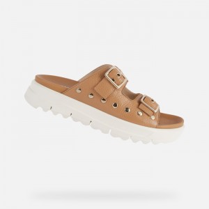 Camel Geox Xand 2.1s | 2796-CLIEG