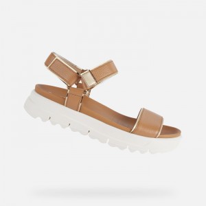 Camel / Light Gold Geox Xand 2.1s | 1396-TFSWK