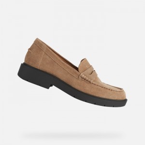 Caramel Geox Spherica Ec1 | 0428-LTZDG