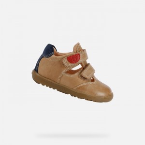 Caramel / Navy Geox Macchia | 3541-UFBLI