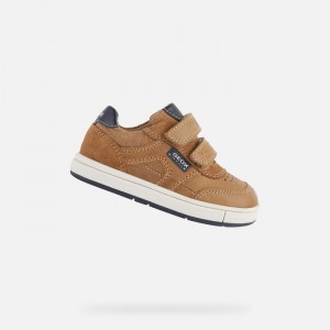 Caramel / Navy Geox Trottola | 0912-LCMSG