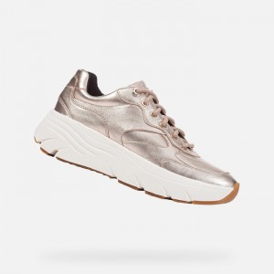 Champagne Geox Diamanta | 6312-FQAYR