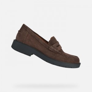 Coffee Geox Spherica Ec1 | 6713-AWYCZ