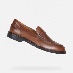 Cognac Geox Artenova | 2365-KPXOJ