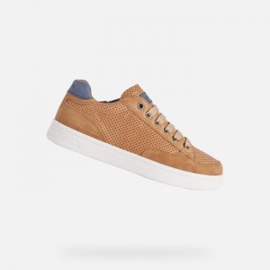 Cognac / Navy Geox Djrock | 0195-TSFHU