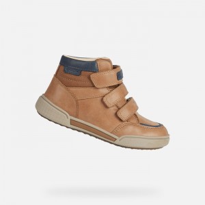 Cognac / Navy Geox Poseido | 5492-CATMI