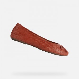 Coral Geox Palmaria | 1287-XWNRQ