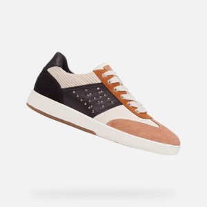 Cream / Black Geox Meleda | 4376-ZHFBT