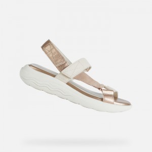 Cream / Dk Skin Geox Spherica Ec5w | 2901-SZXMC