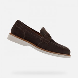 Dark Brown Geox Gubbio | 1628-RUNWI