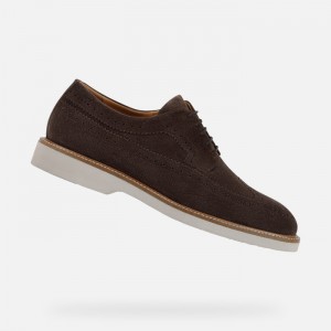 Dark Brown Geox Gubbio | 4625-EYJPT
