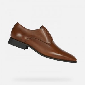 Dark Cognac Geox High Life | 0634-BYWJU