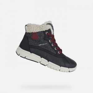 Dark Grey / Bordeaux Geox Flexyper Abx | 0815-NRACJ