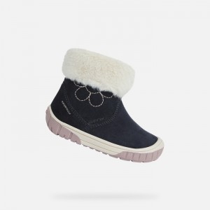 Dark Navy Geox Omar | 2098-DPTCR
