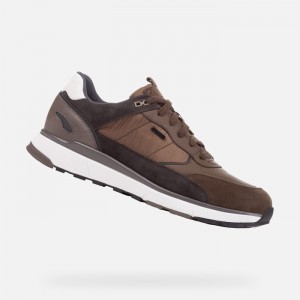 Dark Olive Geox Dolomia Abx | 5320-EBROP