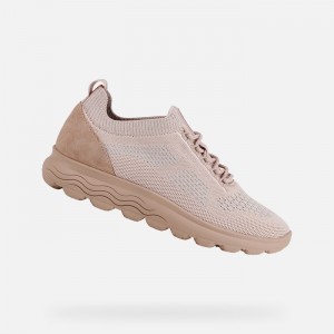 Dark Rose Geox Spherica | 1682-YRWCH
