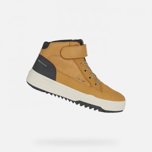 Dark Yellow / Black Geox Bunshee Abx | 1932-FGZLN