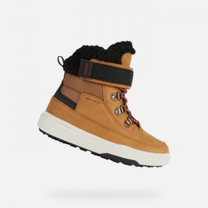 Dark Yellow / Black Geox Bunshee Pg Abx | 0452-OMSYE