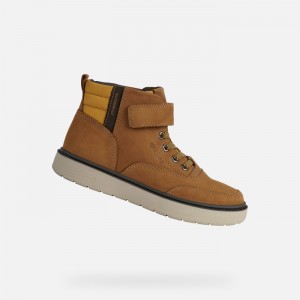 Dark Yellow / Brown Geox Riddock | 6491-LQXDP