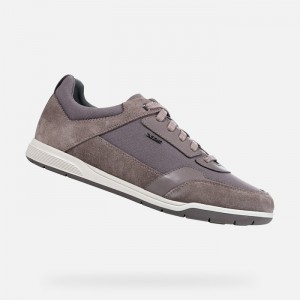 Dove Grey Geox Spherica Ec3 | 6509-ZIPCE